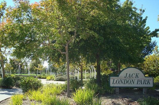 Image of City of Benicia – Developing and Implementing a Tree Program