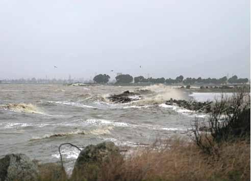 Image of The City of Hayward – Adapting to Sea Level Rise