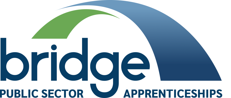 Bridge public sector apprenticeships logo