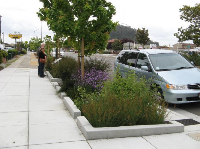 Rain garden on San Pablo Avenue